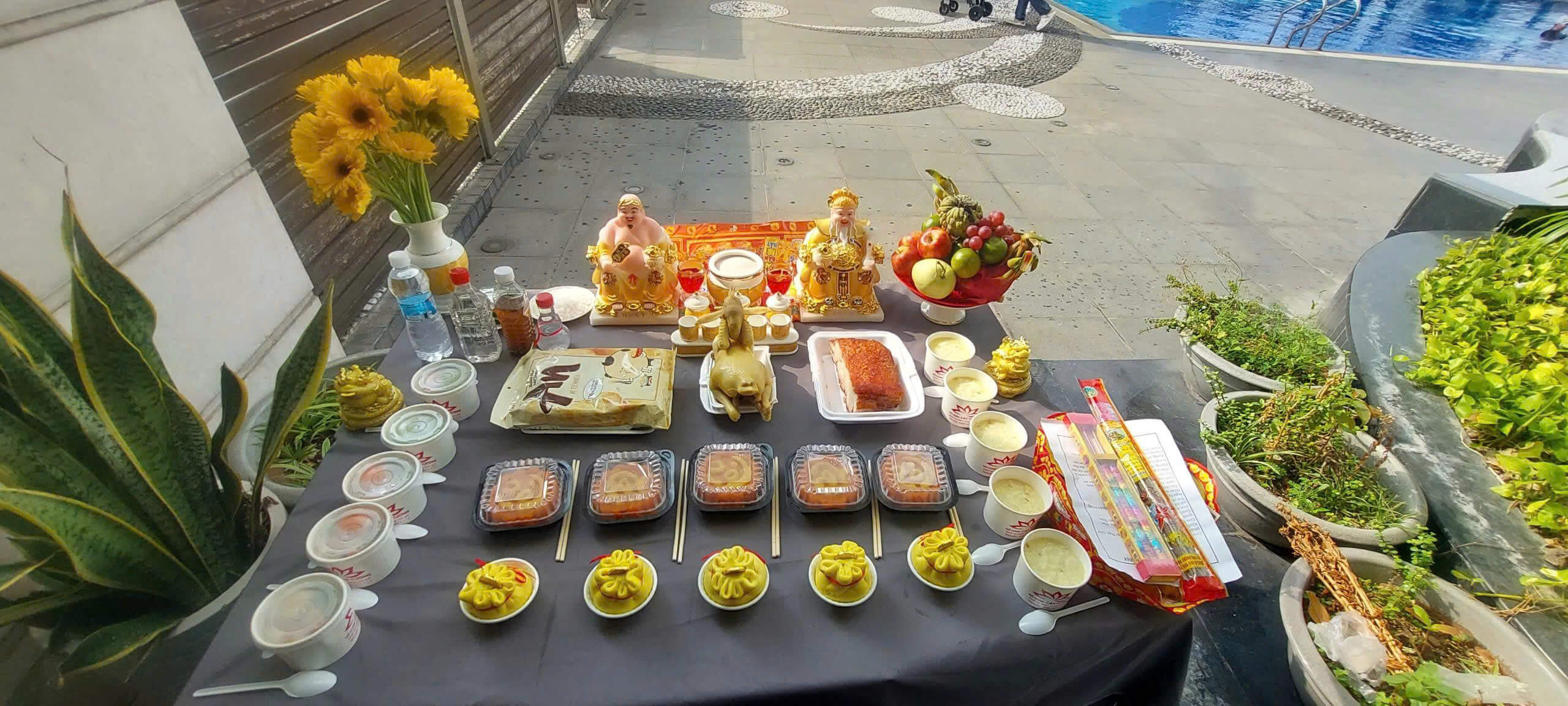 4. Cam – Mang Đến Thịnh Vượng Và May Mắn